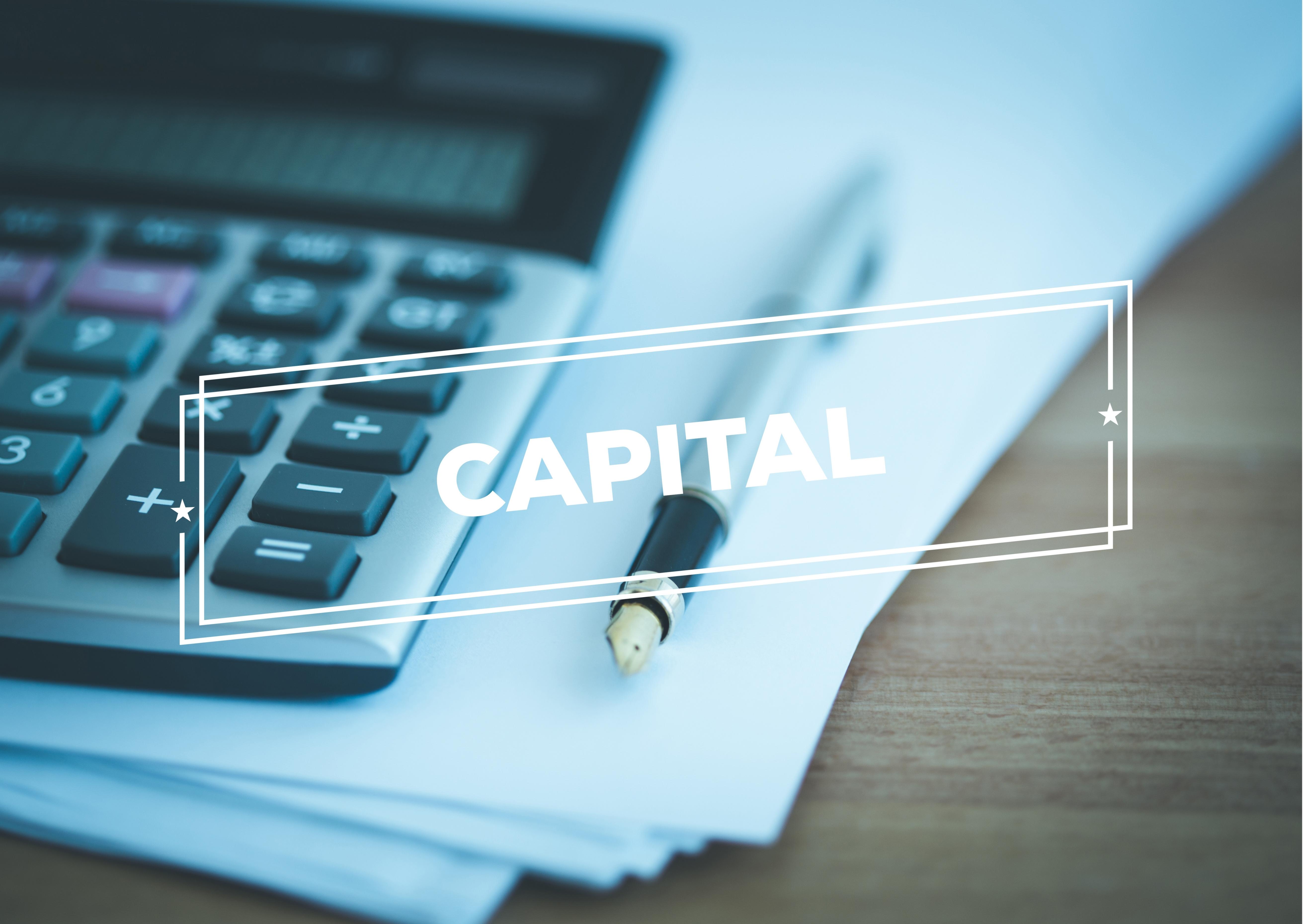 Internal Capital Adequacy Assessment Process (ICAAP) (Micro Learning) 